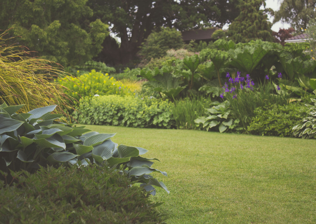 A coordinated mix of plants arranged together in a garden border.