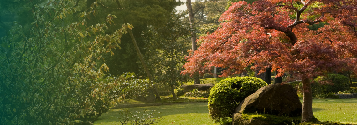 Japanese style garden with a raked gravel path, stepping stones, mossy rocks, clipped shrubs, and a traditional stone lantern set among trees and soft but structured green planting.