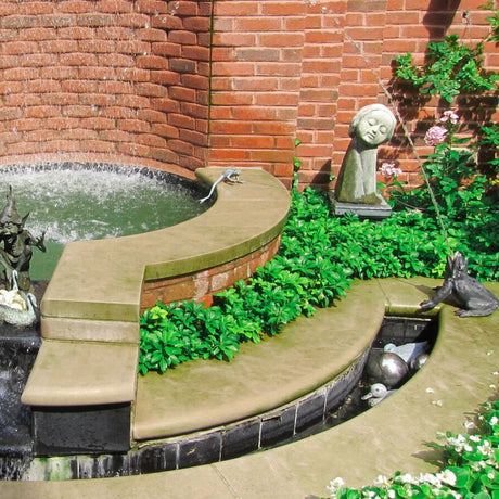 Pachysandra terminalis ‘Green Sheen’